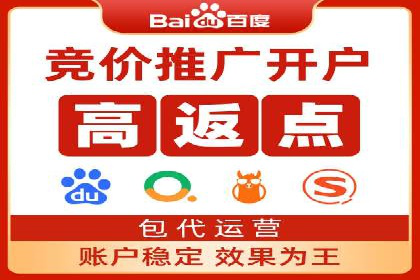 提升转化率：SEM竞价专员的案例研究